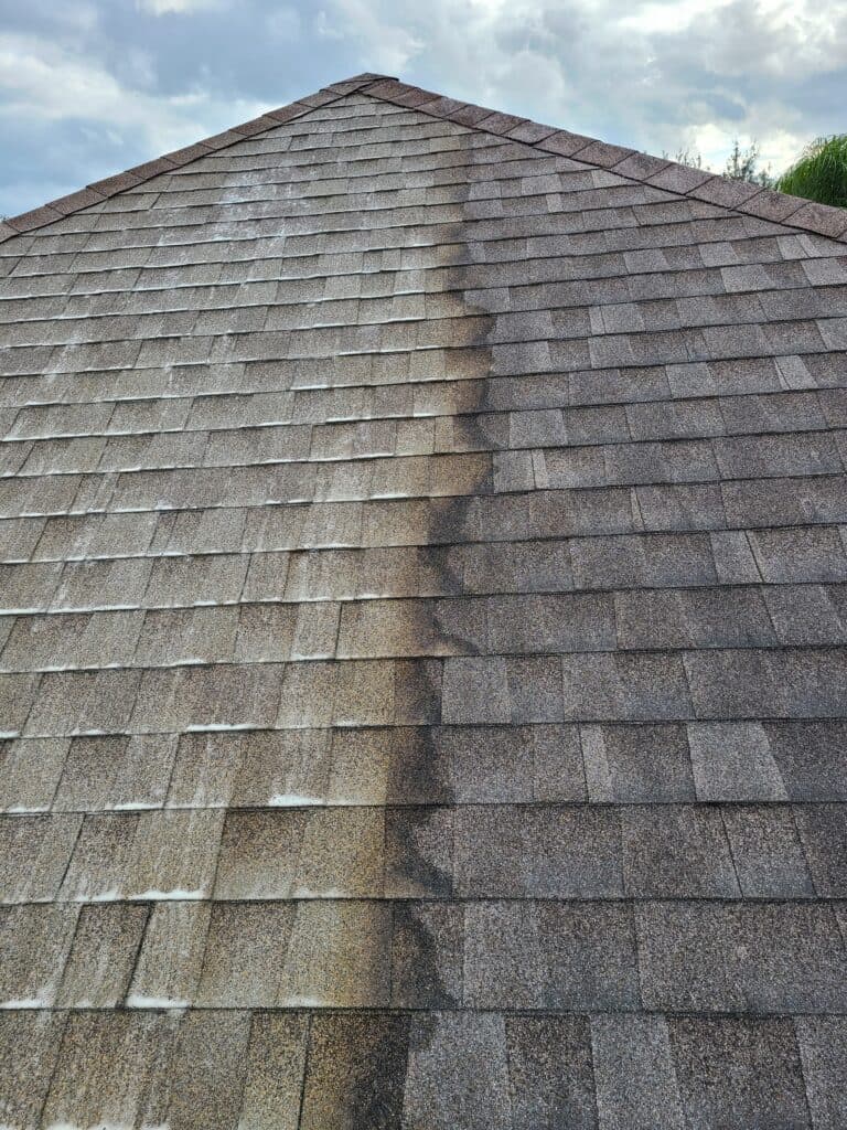 Roof Washing Services in Washington Township, NJ